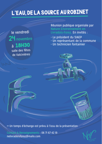 Affiche nelf